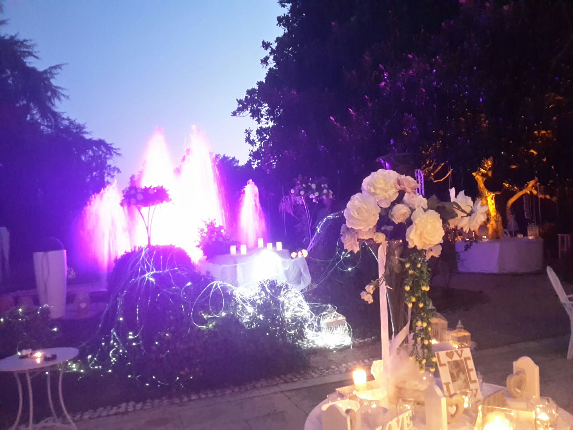 VILLE MATRIMONI VENEZIA E DINTORNI TEL 3914881688