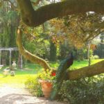 VILLE MATRIMONI PADOVA TEL 3914881688