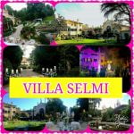 TEL 3914881688 MATRIMONIO ROVIGO
