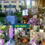 TEL 3914881688 MATRIMONIO ROVIGO TOP