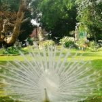 WEDDING VENUES ITALIAN STYLE