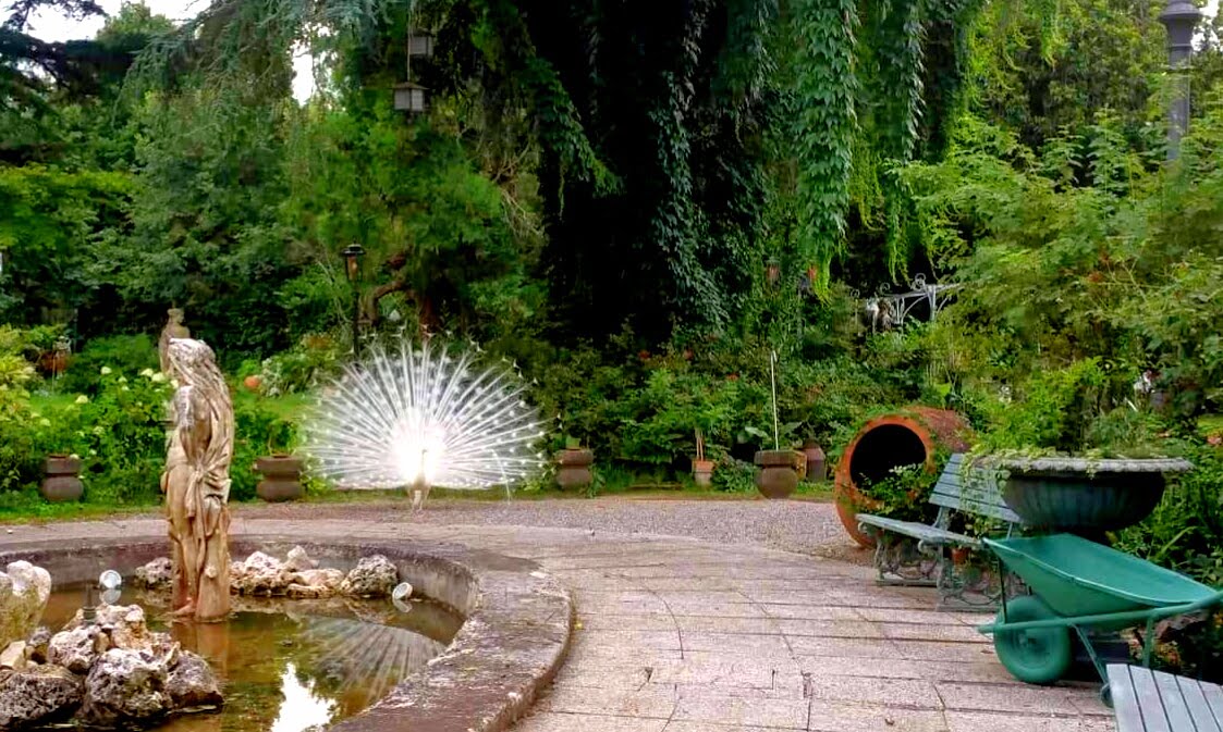 MATRIMONIO PADOVA - VILLA SELMI AUTENTICA PROFESSIONALITA'