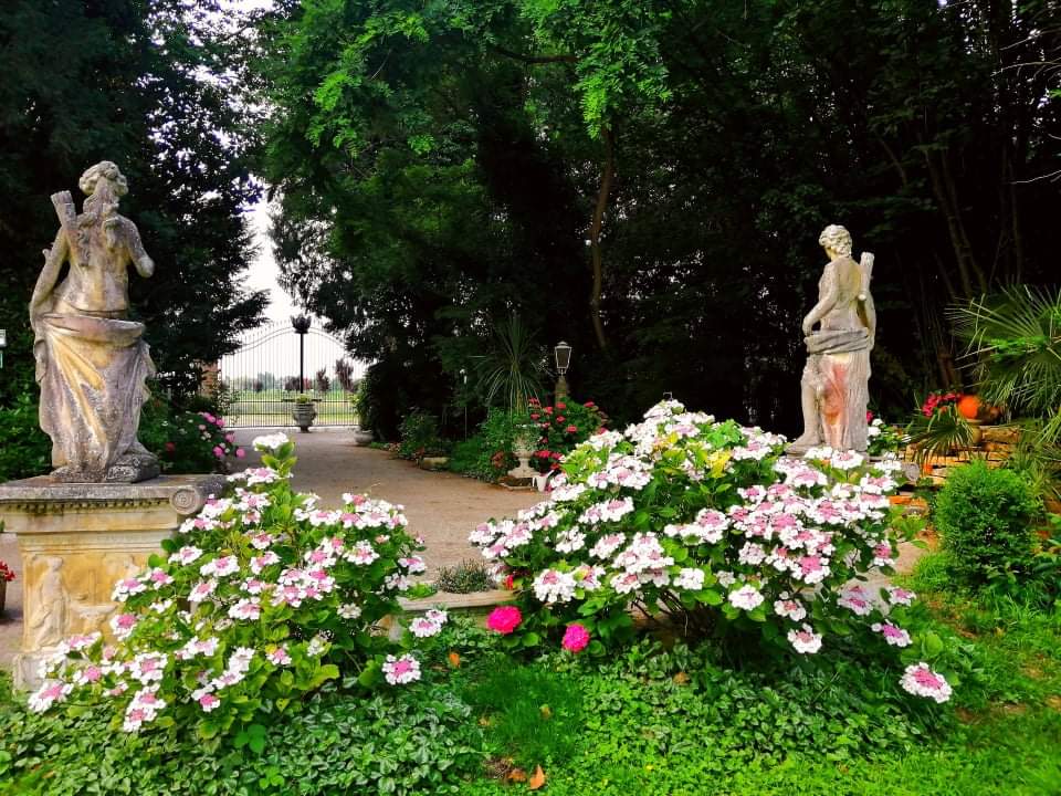 MATRIMONIO FERRARA