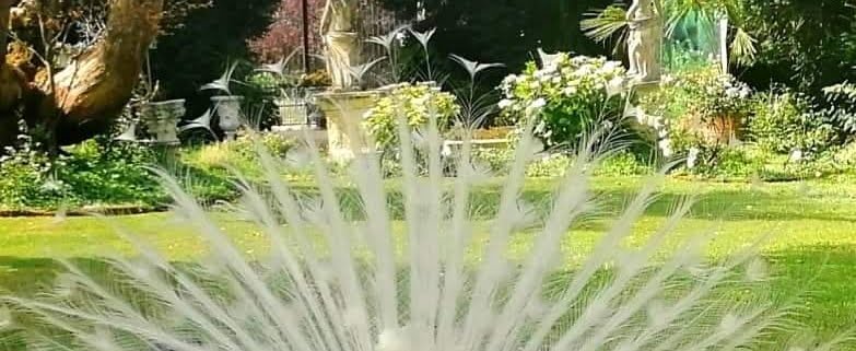 Location matrimoni di lusso Emilia Romagna