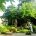 Villa Selmi - Luxury wedding Padova