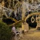 Luxury wedding in Europe