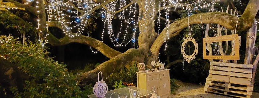 Luxury wedding in Europe