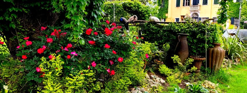 Villa Selmi - Luxury wedding in Europe