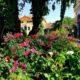 Dove sposarsi sui Colli Euganei - Villa Selmi