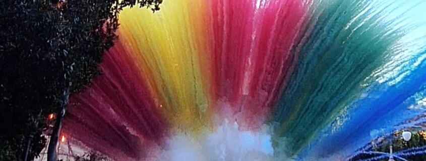 510 recensioni - valutazione 4,9 su 5