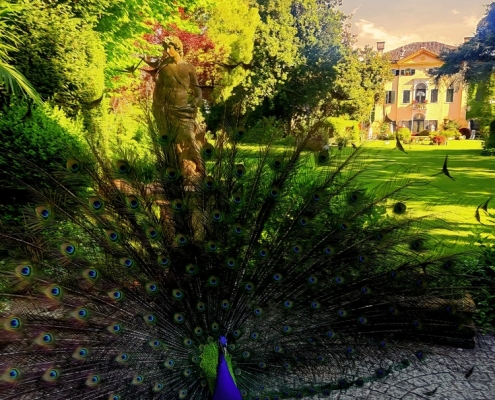 VILLA SELMI MATRIMONIO: RICERCHE CORRELATE 3 Matrimonio Ferrara: Villa Selmi è la location