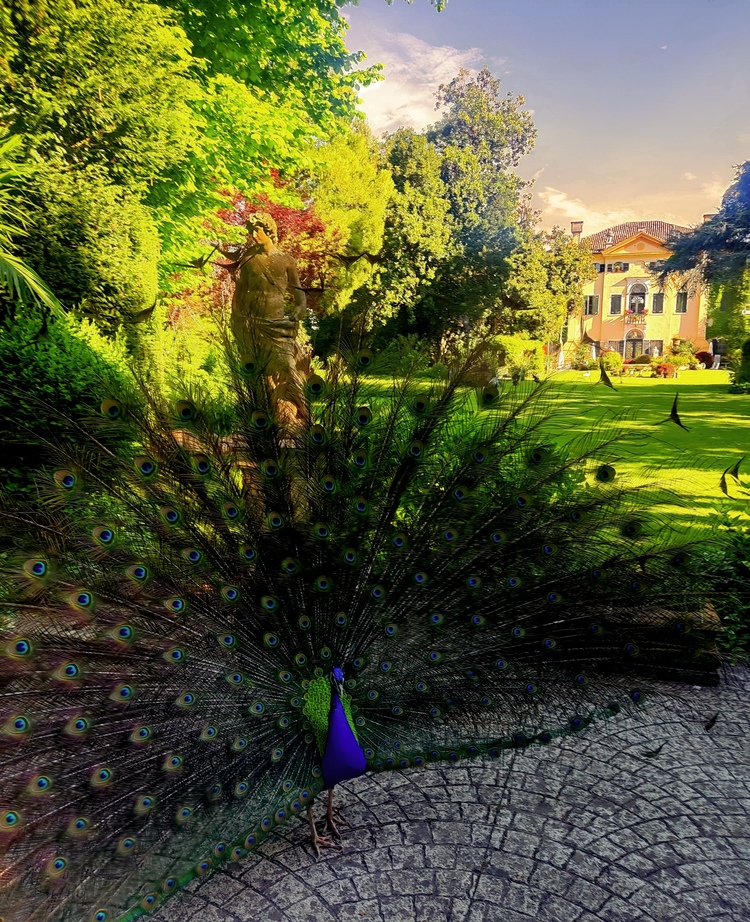 MATRIMONI SU INSTAGRAM: VILLA SELMI LOCATION 3 Matrimoni su Instagram