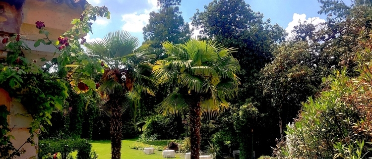 VILLA SELMI: VILLE MATRIMONI ROVIGO 1 Villa Selmi matrimonio Rovigo