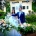 Villa Selmi matrimonio: eleganza senza sforzo